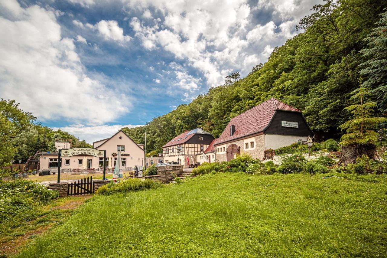 Pension Walkmuehle Зангерхаузен Экстерьер фото